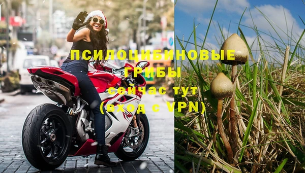 не бодяженный Армянск