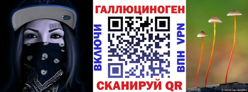 Псилоцибиновые грибы Psilocybine cubensis что такое наркотик Тайшет
